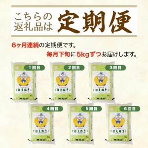 SM0047　【6回定期便】無洗米 はえぬき　5kg×6回(計30kg) TO