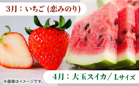 【先行予約】【6回定期便】肉と果物 定期便 熊本のうまかもん [ZZZ004]  フルーツ定期便 果物 くだもの 果物定期便 くまもと黒毛和牛 九州 和牛 ステーキ 切り落とし フルーツ お肉