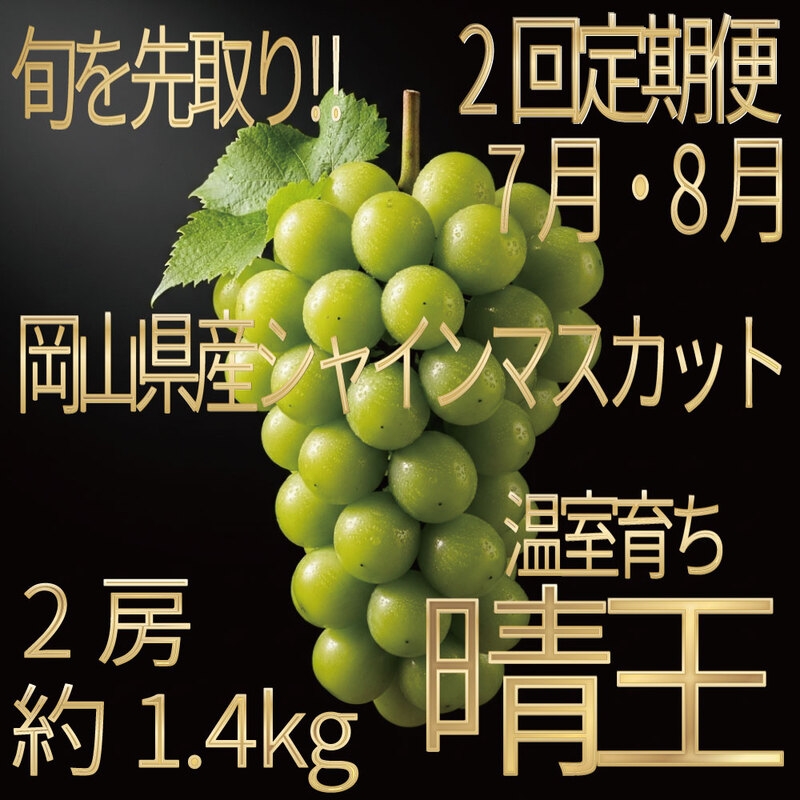 
                  [HS]【定期便全2回】ぶどう先行予約7月・8月発送温室シャインマスカット晴王2房（合計約1.4kg）ブドウ 葡萄  岡山県産 国産 フルーツ 果物 ギフト デザート 食後 酸味が少ない 産地直送
                