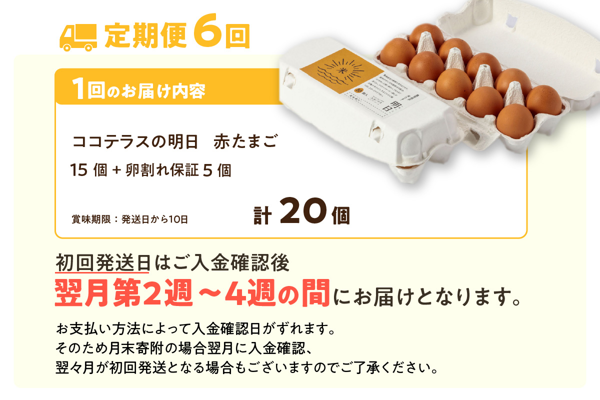 【6ヵ月定期便】ココテラスの明日(赤たまご)15個 + 5個保証(計20個)【JGAP認証】