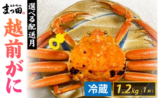 【先行予約】まっ田の越前がに 1.2kg×1杯【11月～3月配送】[L-007010] / 福井県 福井 オス 雄 ズワイガニ ボイル 冷蔵 越前ガニ 越前がに 越前カニ ずわいがに ずわい蟹 かに カニ 蟹 指定 茹で すがた 姿