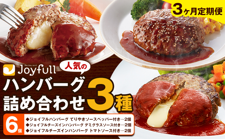 【3ヶ月定期便】ジョイフルハンバーグ 人気の詰め合わせ ソース付き 食べ比べ 3種類 セット 6個 定期便 亀井通産株式会社《お申込みの翌月出荷予定》熊本県 菊池市 生ハンバーグ チーズインハンバーグ