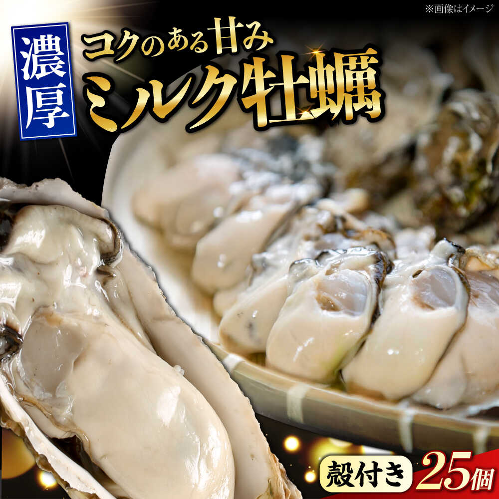 【ふるさと納税】【江田島ミルク牡蠣】殻付き 牡蠣 25個 加熱用 かき 広島県産 カキ 貝付き牡蠣 海鮮 贈呈用 BBQ 濃厚 新鮮 蒸し牡蠣 焼き牡蠣 グリル焼き 魚介類 海鮮 牡蠣 むき身 冷凍 かき カキフライ カキ ギフト 広島県産 人気 送料無料 丸杉水産/江田島市[XCY003]