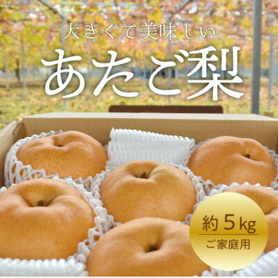 【ふるさと納税】【2025年発送】あたご梨 ご家庭用/約5kg(岡山県産) お歳暮 和梨 冬の果物_ 梨 ふるさと納税 なし ナシ 愛宕梨 あたご梨 甘い 果物 フルーツ くだもの デザート 岡山県 津山市 約5kg 国産 産直 産地直送 家庭用 ギフト プレゼント 【1566274】
