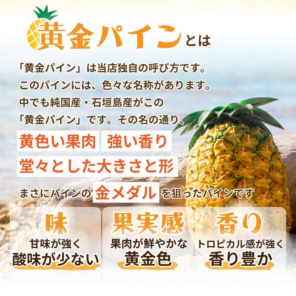 ＜先行予約＞ 石垣島産 黄金パイン 大玉 2玉 約3.0kg