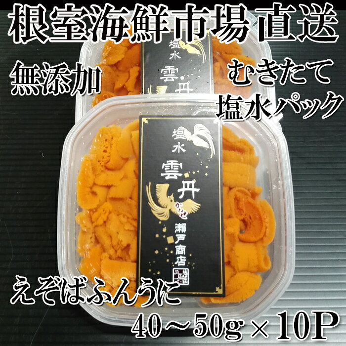 【ふるさと納税】無添加むきたてエゾバフンウニ ( 赤系 ) 塩水パック 40 ~ 50g × 10P [2026年1月中旬以降発送] うに ウニ 雲丹 バフンウニ エゾバフンうに えぞばふんうに 蝦夷バウンウニ 蝦夷ばふんうに ウニ丼 うに丼 雲丹丼 刺身 グルメ 海鮮 北海道 D-14040
