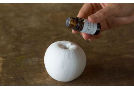 【波佐見焼】【essence】アロマ ストーン りんご セット 食器 皿 【西海陶器】 [OA115] 波佐見焼