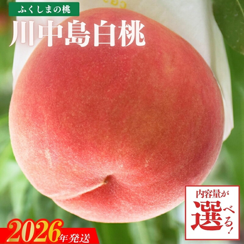 【ふるさと納税】もも「川中島白桃」約2kg 約3kg【2026年発送 先行予約】