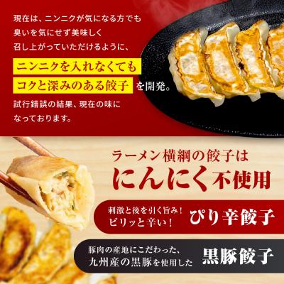 ふるさと納税 京都市 【ラーメン横綱】横綱の餃子はニンニク不使用!ぴり辛餃子・黒豚餃子 各5パックセット |  | 02