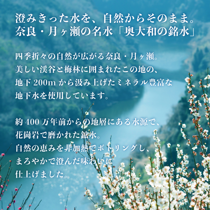 水 ミネラルウォーター【定期便6ヶ月】奥大和の銘水『500ml×48本（1箱24本入り×2箱）×6ヶ月』 シリカ水 軟水 賞味期限2年 長期間保存可能 天然水 飲料水 みず ミネラル 美容 備蓄 防災