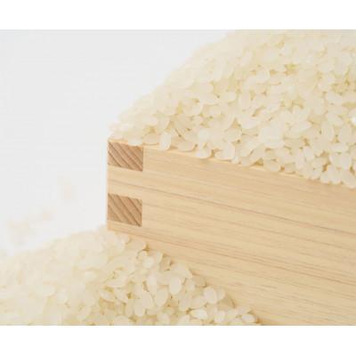 ふるさと納税 鷹栖町 令和7年産 真空パック ゆめぴりか 白米2kg×6個 |  | 01