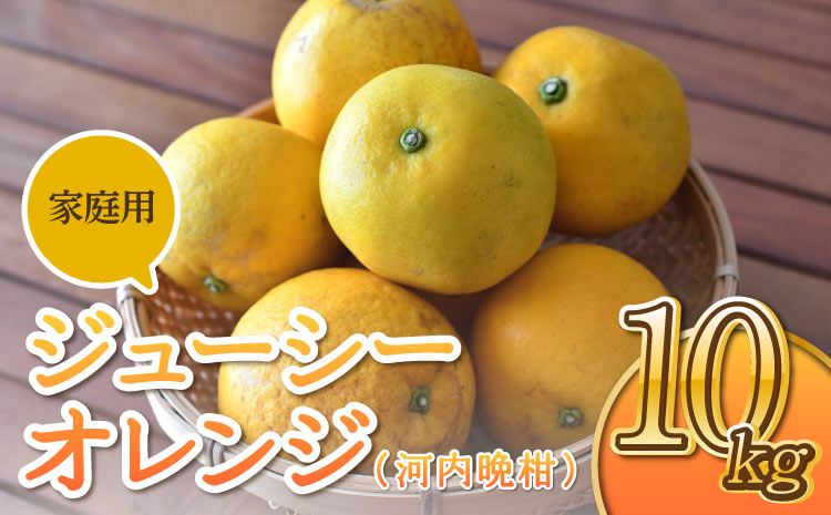【先行予約】ジューシーオレンジ（河内晩柑）家庭用 10kg【のむちゃん農園】【2025年4月上旬〜7月上旬発送予定】みかん ミカン 晩柑 柑橘 宇城市 