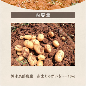 【 2025年 先行予約 】 皆村農園 の ホクホク ! ほりたて！ 春 の新 じゃがいも 10kg 【1月下旬～4月下旬】 W035-001 新じゃがいも ジャガイモ 野菜 先行受付 限定 期間限定