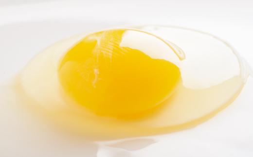 平飼い有精卵『たつかの恵み』40個× 5ヶ月連続お届け SBTT004