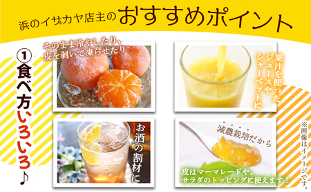 ＜《5月発送》旬をお届け！河内晩柑 約7kg＞ みかん ミカン 蜜柑 果物 柑橘類 果実 オレンジ フルーツ かわちばんかん カワチバンカン 15～20個前後 特産品 国産 明浜産 二ノ宮商事 愛媛県