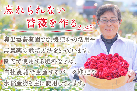 【芳醇な薫り高い奥出雲薔薇園の薔薇を使用したローズサイダーセット】（６本入り）【バラ サイダー 200ml 6本 薔薇 ローズ プレミアム スパークリング 微炭酸 美容 家庭用 贈答 ギフト 母の日】