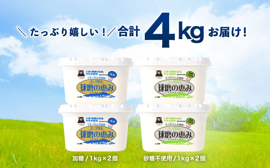 球磨の恵みヨーグルトセット 計4000g（加糖・砂糖不使用）1000g×各2個セット