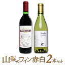 【ふるさと納税】築宝の赤ワイン白ワイン　2本セット ふるさと納税 ワイン 笛吹市 山梨ワイン 酒 アルコール 山梨県 記念品 お祝い 送料無料 127-012