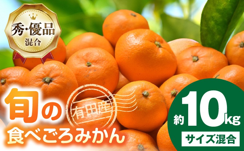 
                  ZD92074_ 【2026年先行予約】 有田みかん サイズ混合 内容量 約 10kg 和歌山県産 国産 みかん 食べごろ 旬 混合規格 秀品 優品 混合 柑橘 果物 果実 フルーツ おやつ デザート 食品 常温 お取り寄せ 和歌山県 湯浅町 送料無料
                