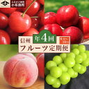 【ふるさと納税】［4回定期便］ 小布施のフルーツ4回コース ［小布施屋］定期便 先行予約 フルーツ 数量限定 さくらんぼ 白桃 ネクタリン シャインマスカット ぶどう クール便 冷蔵 お楽しみ 長野県産 信州産 令和7年産【2025年6月中旬～10月発送】