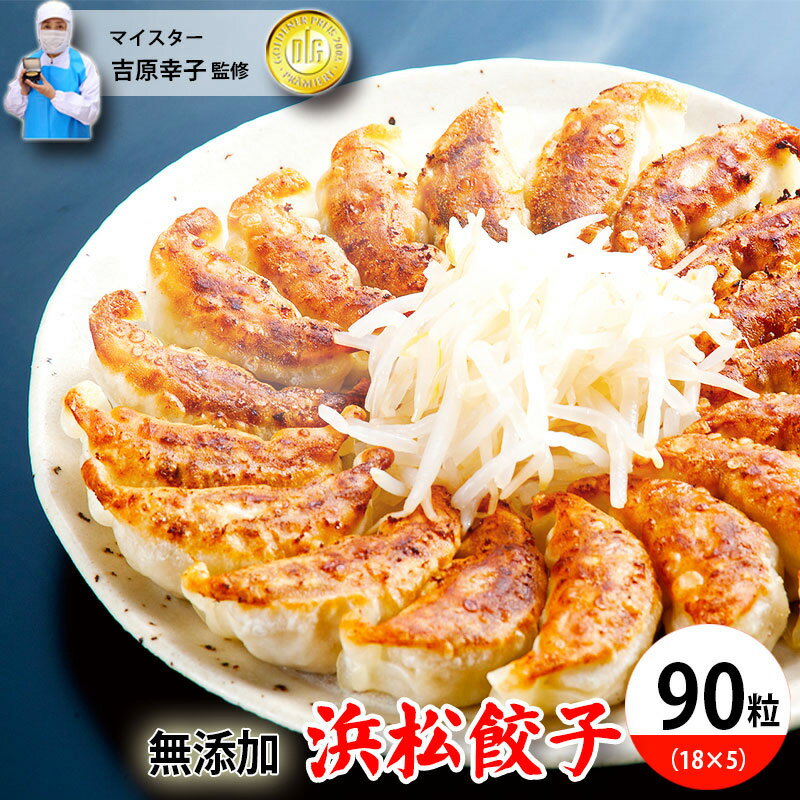 【ふるさと納税】浜松餃子 食肉マイスターが作った 食品添加物不使用 餃子 90粒 (18粒×5パック) セット 詰め合わせ ぎょうざ 餃子 ギョーザ 冷凍餃子 冷凍ぎょうざ 冷凍 冷凍食品 中華 惣菜 食品 おかず 保存料不使用 添加物なし 静岡 静岡県 浜松市