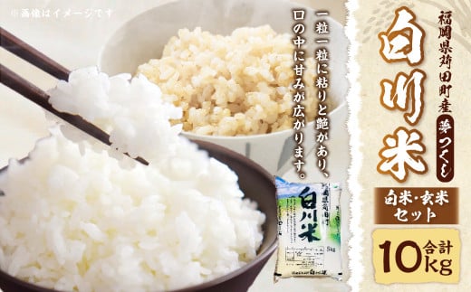 【新米先行予約】白川米 ( 夢つくし ) 白米 ・ 玄米 セット 合計10kg お米 精米【2025年10月下旬から順次発送予定】