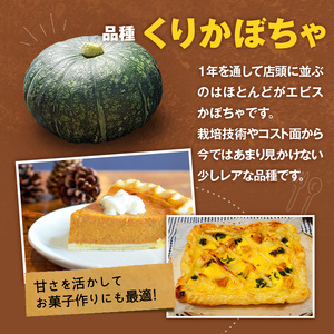 【2026年先行予約】前原さんの特選 じゃがいも ゴールド 8kg＆くりかぼちゃ 2玉 C062-T04 かぼちゃ 南瓜 先行予約 先行受付 予約 特選ジャガイモ 野菜 やさい パンプキン 栗かぼちゃ