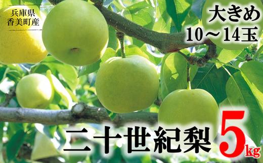 【梨 20世紀梨 香住梨 5kg 大きめ（1玉350g～500gを10～14玉）】9/9が最終受付です 大人気 二十世紀梨 果肉はしっかり シャキシャキの食感 ほどよい甘さとみずみずしさ 日本海に面する梨の本場 兵庫県香美町で育つ「香住梨」 一つひとつの糖度を計測 味と品質へのこだわり 香住 20世紀 フルーツ ナシ 贈答 青梨 和梨 ふるさと納税 JAたじま 16000円 12-05