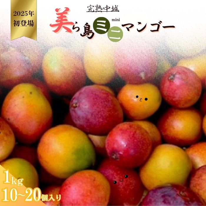 【ふるさと納税】完熟沖縄ミニマンゴーご家庭用約1kg（10～20個入）沖縄 おすすめ オススメ 贈り物 プレゼント お土産 お見舞い 期間限定 レア