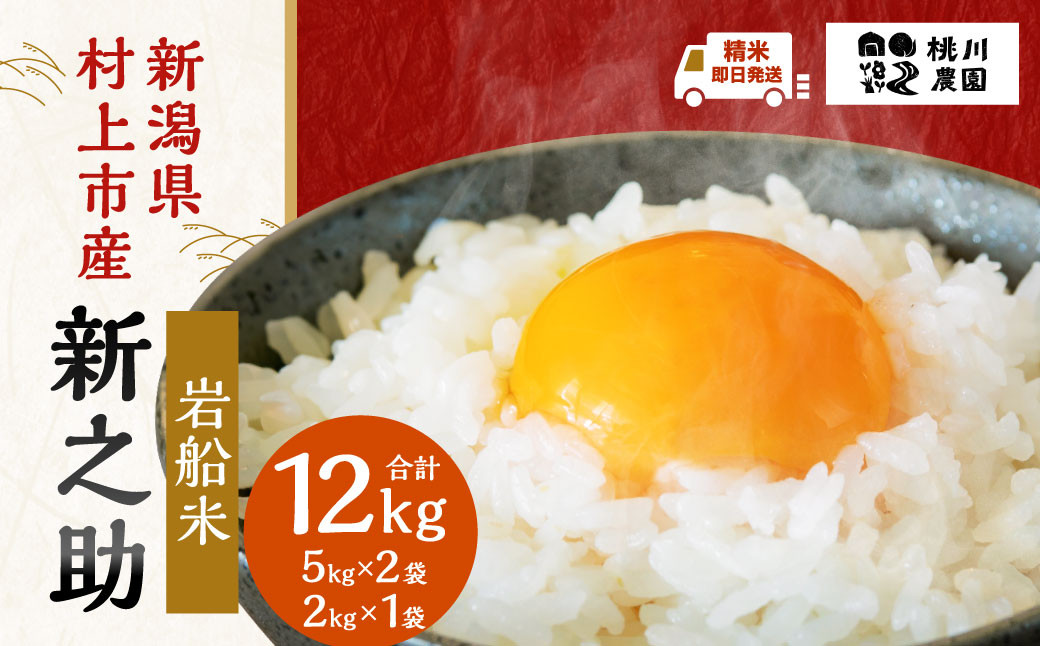 
             【精米即日発送】【令和7年産米】新潟県村上市産  新之助 12kg B4073
          