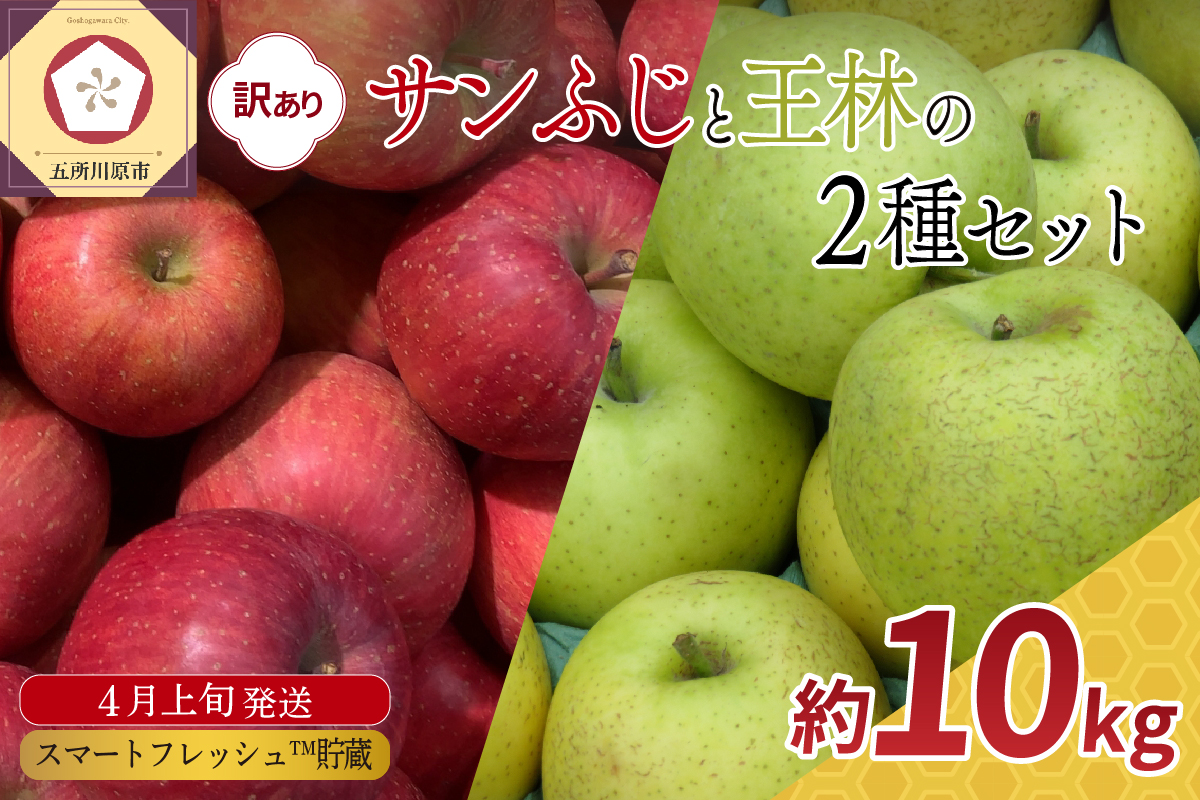 りんご 【2026年4月上旬発送】 訳あり 約10kg 春の サンふじ 王林 スマートフレッシュTM貯蔵