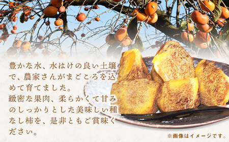 【先行予約】秀品 柿 紀の川柿 約4kg (種なし・黒あま柿)  サイズおまかせ 紀の川市厳選館 《2025年10月上旬-11月末頃出荷》和歌山県 紀の川市 柿 カキ かき ジューシー フルーツ