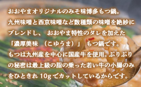 もつ鍋 おおやま 定期便 3回 みそ味 2人前 もつ鍋