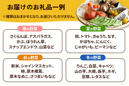 【定期便 半年分・6ヶ月】旬のお野菜セット 秋田県 由利本荘市産 栽培期間中農薬不使用 減農薬
