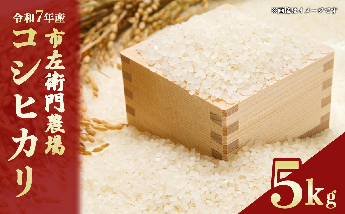 
                  令和7年産 コシヒカリ 5kg │ 米 こめ こしひかり ご飯 白米 精米 5キロ 2025年産 茨城県産 茨城県 つくば市
                