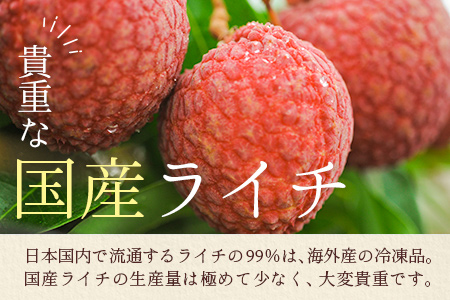 ＜限定50セット＞宮崎県産 生ライチ「至高の紅玉」計1kg 人気 国産 希少 果物 旬 ギフト プレゼント【C365-25】
