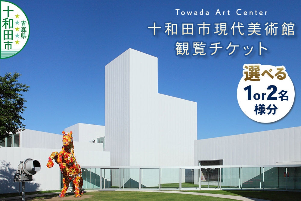 
                  十和田市現代美術館観覧チケット【選べる：1名様分／2名様分】青森県十和田市 ＜レターパックプラス＞ [アート 芸術 鑑賞]
                