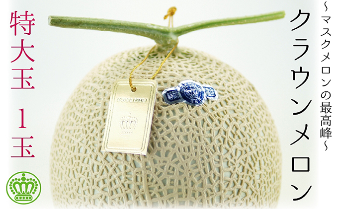 2026年2月発送クラウンメロン（白級）特大玉 1玉　箱入り