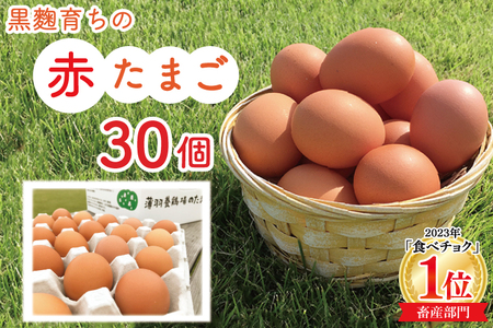 黒麹育ちの赤たまご30個｜栃木県 益子町 ふるさと納税 たまご 卵 タマゴ 赤たまご 人気 濃厚 食べチョク (BC007)