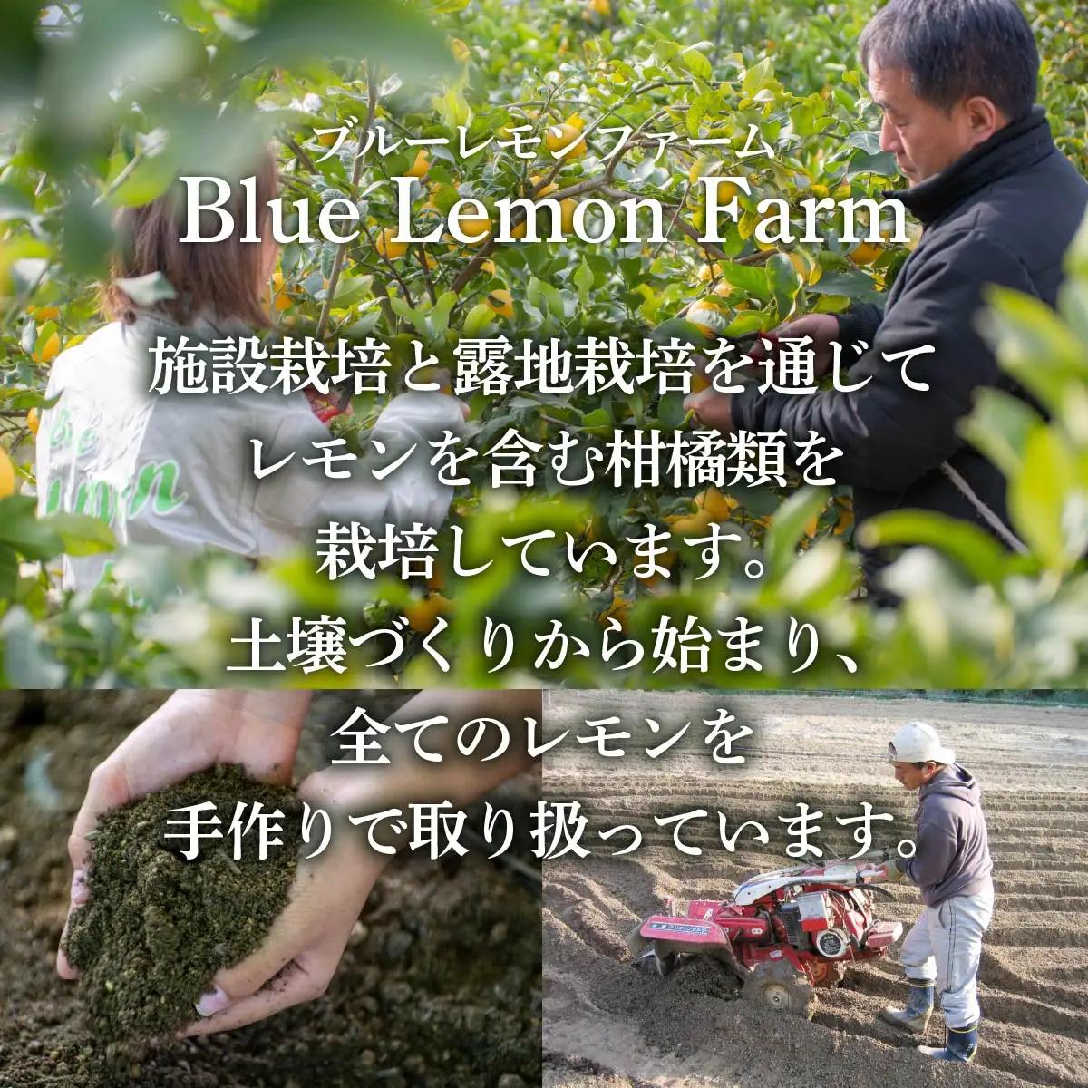 愛媛　ブルーレモンファームのレモン果汁　720ml×3本セット