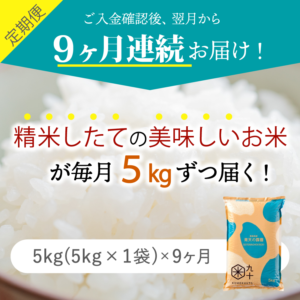 【定期便9ヶ月】米青天の霹靂5kg青森県産【特A 8年連続取得】（精米）