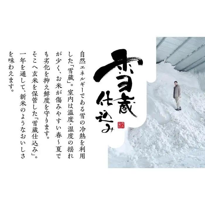 【定期便６回】（毎月下旬お届け）雪蔵氷温米 南魚沼産こしひかり５ｋｇ【高島屋選定品】｜こしひかり