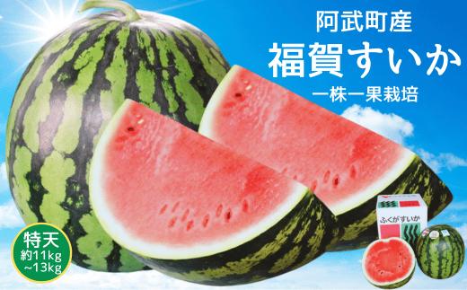 【先行予約】  福賀 すいか 特天 約11kg〜13kg 圧巻の超大玉 ＆ シャリシャリ 食感 高糖度 山口県 阿武町産 1個（希少1株1玉栽培） 産地直送 【2026年7月上旬～順次発送予定】