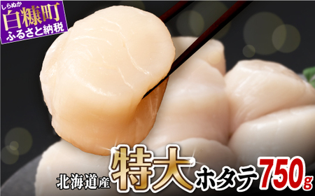ホタテ 特大サイズ 750g ( 250g × 3 ) オホーツク産 お刺身用 ほたて オホーツク産 お刺身用 帆立 貝柱 小分け 海鮮丼 ふるさと 人気 ランキング 北海道 白糠町_K015-1323-60DAYS