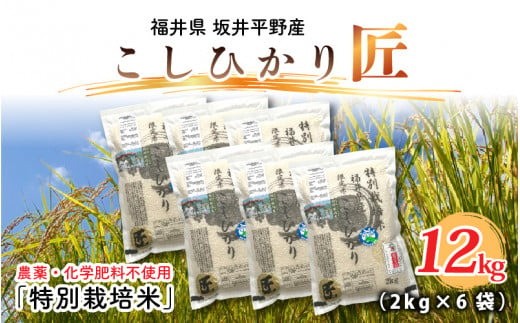 【先行予約】【令和6年産・新米】農薬・化学肥料不使用 コシヒカリ匠 12kg (2kg × 6袋)（玄米）【2024年10月上旬以降順次発送予定】 [D-2915_02]