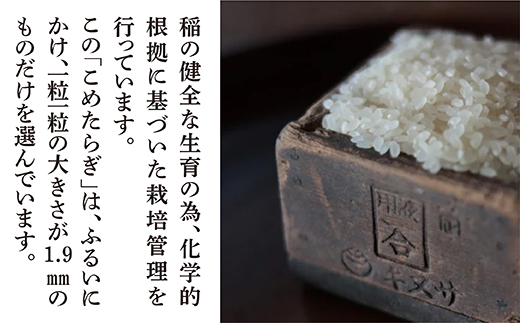 【おいしい米 定期便 毎月発送 全6回】 ＜ R5年産 新米 先行予約 ＞ 多良木町産 こめたらぎ にこまる 10kg × 6ヶ月 合計60kg 【 白米 精米 熊本県 多良木町 自然 豊か グランプ