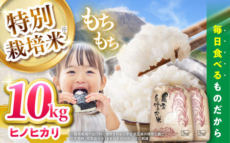 【令和7年産新米】【特別栽培米】 ヒノヒカリ 10kg (5kg×2袋) / 米 精米 白米 ごはん ご飯 ひのひかり / 南島原市 / 農家民宿　いちご一会[SBN002]
