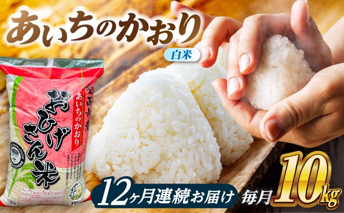 
                  【12回定期便】あいちのかおり 白米 10kg×12ヵ月 愛西市 / 脇野コンバイン [AECP009]
                