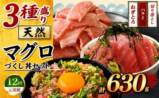 【定期便12回】マグロ づくし丼  3種盛り セット 合計630g | 清幸丸水産 ネギトロ ハラミ 切り落とし 鮪 千葉県 君津市