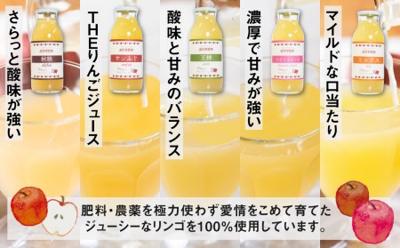 ぎゅっとりんごジュース　5種10本 飲み比べ 化粧箱入り 100%飛騨リンゴを使っておいしさを凝縮したジュース 黒内果樹園 ギフト お中元 にも[Q1867]